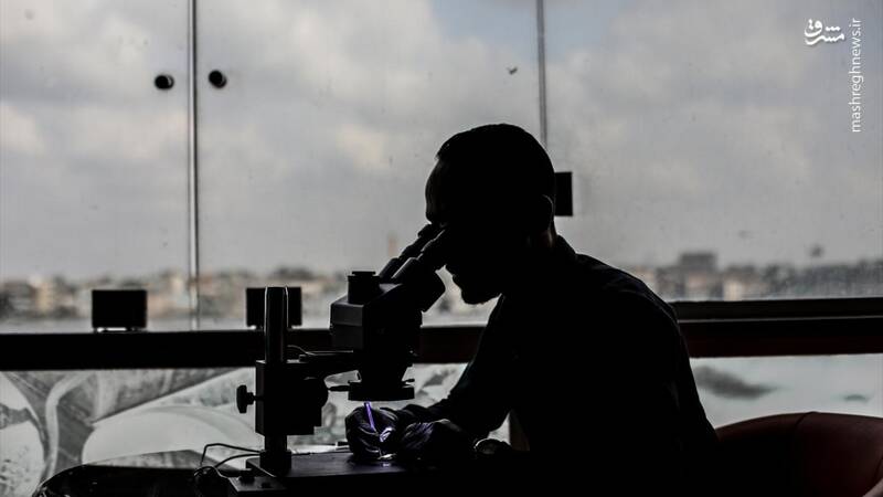 عکس/ یک اثر هنری روی نوک مداد