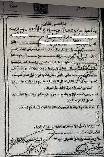 آخرین پیام نیکا شاکرمی خطاب به مادرش: تقصیر هیچکس نبود!+ عکس 5