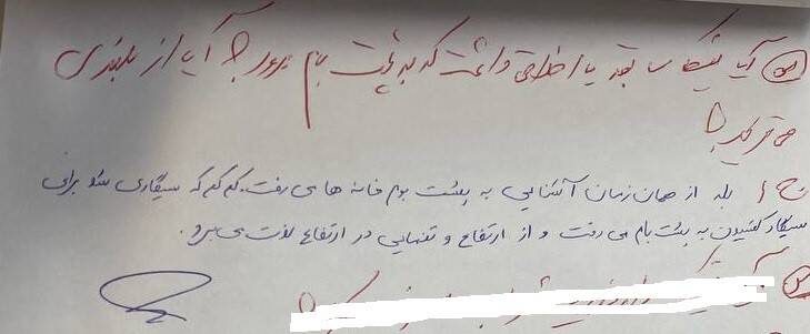 آخرین پیام نیکا شاکرمی خطاب به مادرش: تقصیر هیچکس نبود!+ عکس 6