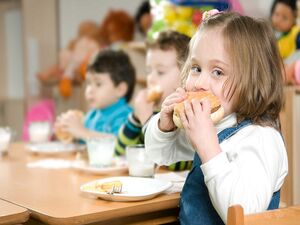 خوراکیهای تقویتکننده دانشآموزان
