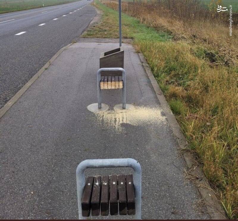 چرا نیمکت چوبی را ارّه کردید برای سوخت؟ +عکس