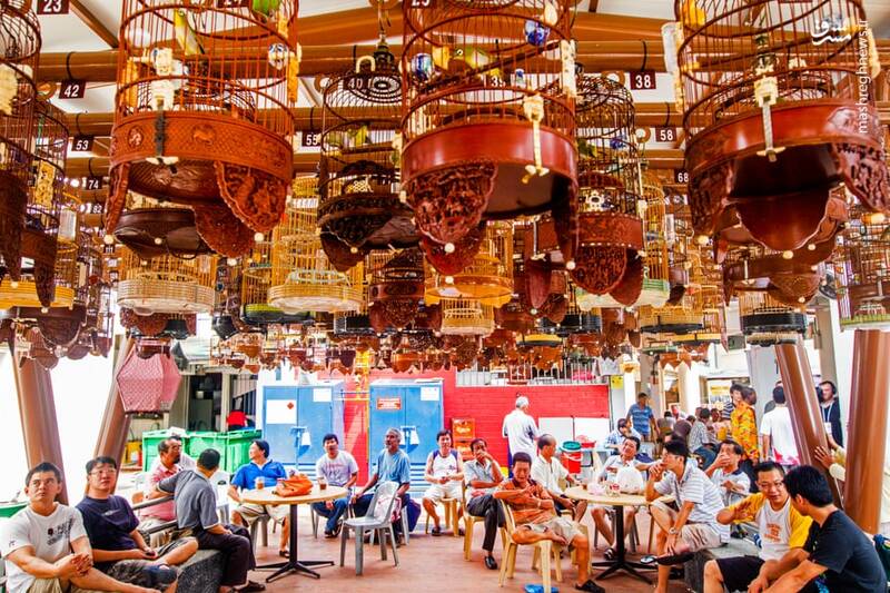 عکس/ تجارت پرندگان در اندونزی