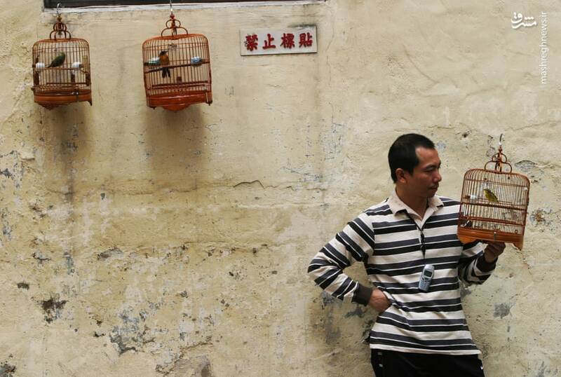 عکس/ تجارت پرندگان در اندونزی