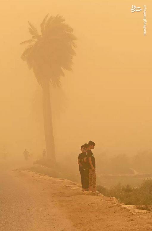 عکس/ طوفان شن در عراق