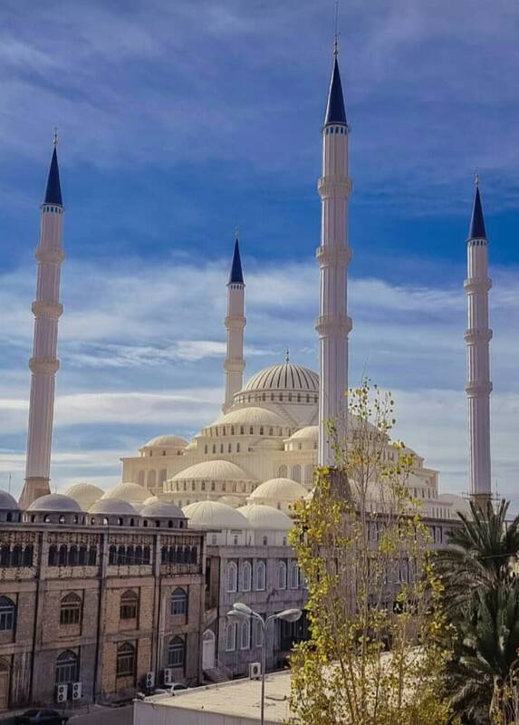 تحلیلی بر نقش عبدالحمید در وقایع اخیر+ عکس و فیلم