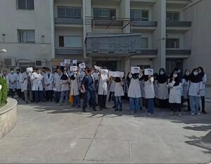 شبکه کلاهسفیدهای ایرانی اعلام موجودیت کرد / قاچاقچیان اعضای بدن به صف اغتشاشات پیوستد! + عکس