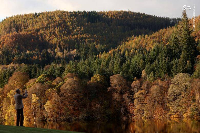 تصاویر دیدنی از شاخ و برگهای پاییزی