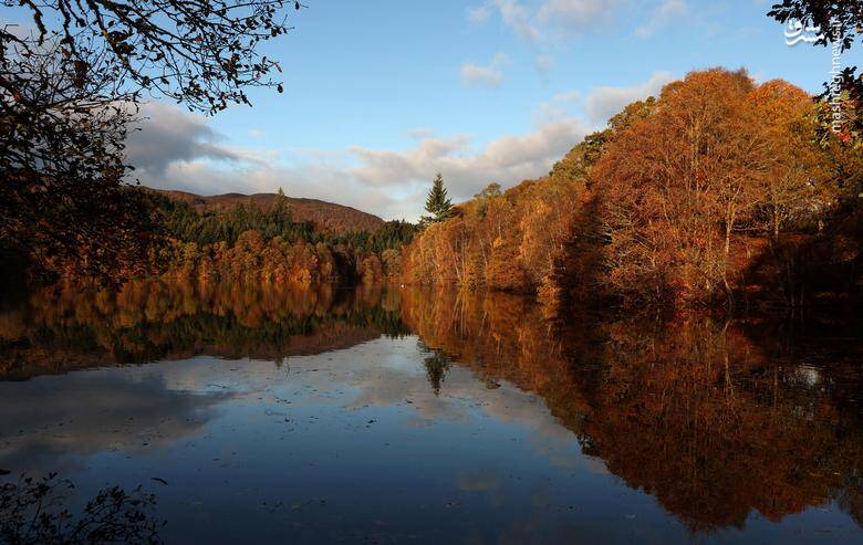 تصاویر دیدنی از شاخ و برگهای پاییزی