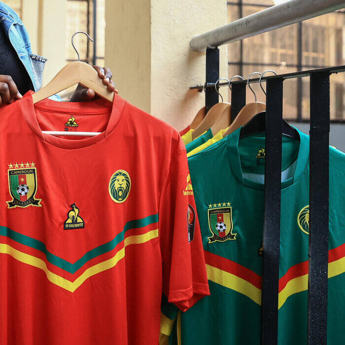 شیرهای رام نشدنی با پوششی خاص در قطر +عکس