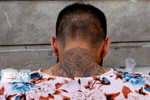 شرور مسلح در قشم دستگیر شد شرور مسلح در قشم دستگیر شد