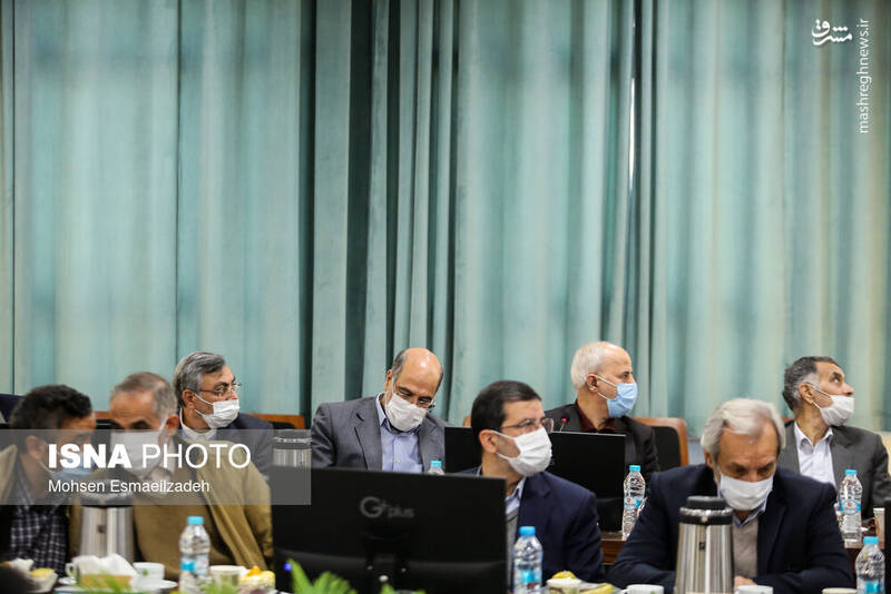 عکس/ سفر سخنگوی دولت به مشهد