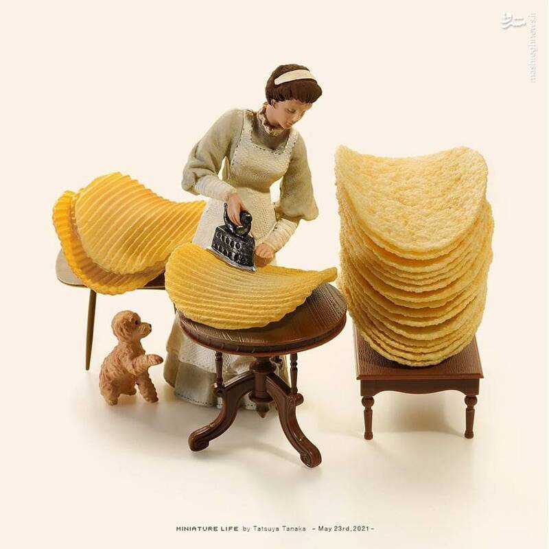 عکس/ خلاقیت مینیاتوری