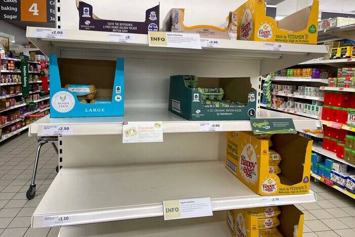 تخممرغ در انگلیس کمیاب شد