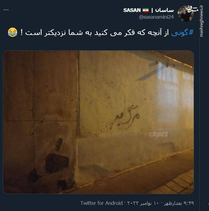 گونی از آنچه که فکر می کنید به شما نزدیکتر است!+ عکس