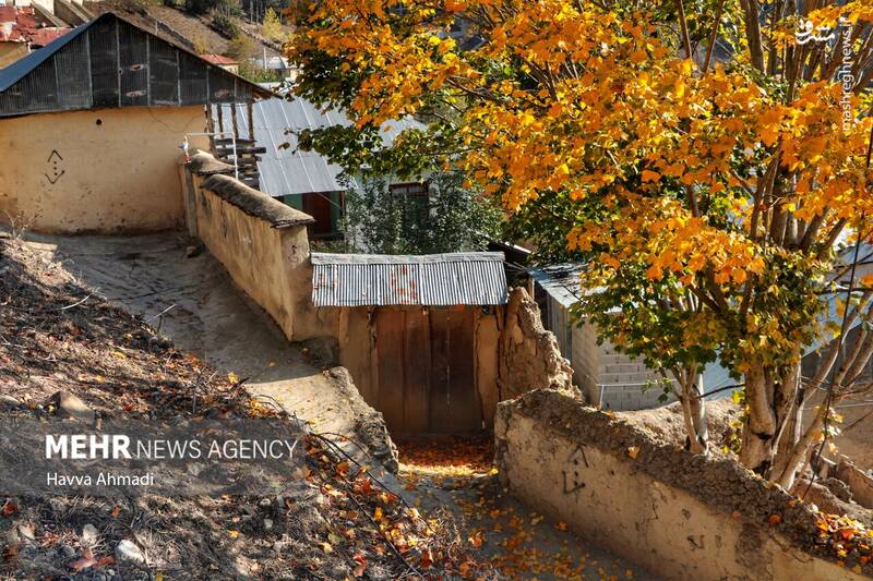 عکس/ بافت تاریخی و بازارچه سنتی آلاشت