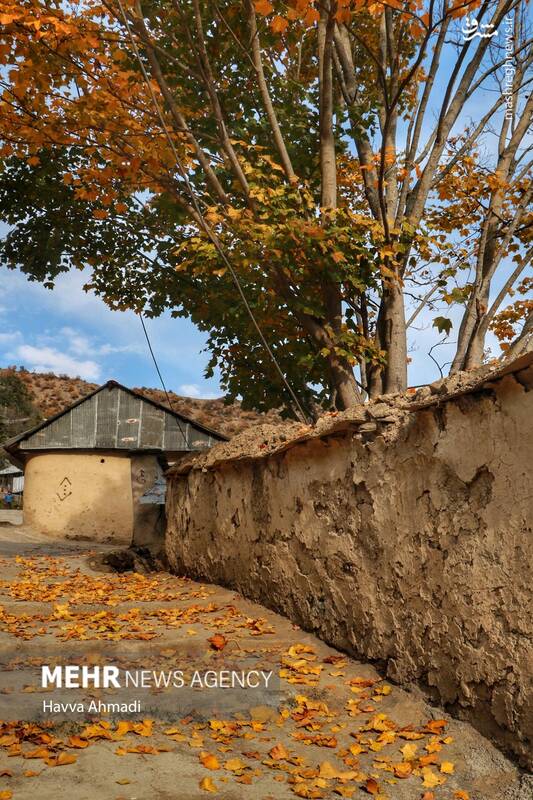 عکس/ بافت تاریخی و بازارچه سنتی آلاشت