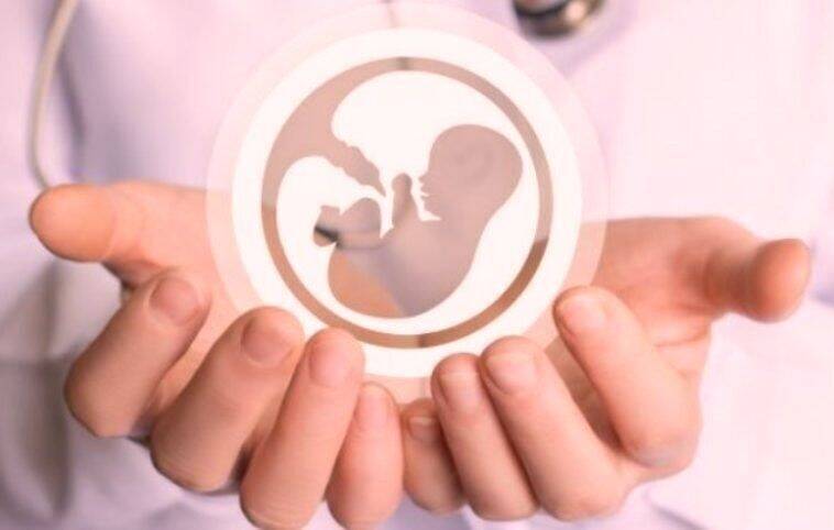 چند قدم همپای زنهایی که مادر نشدند