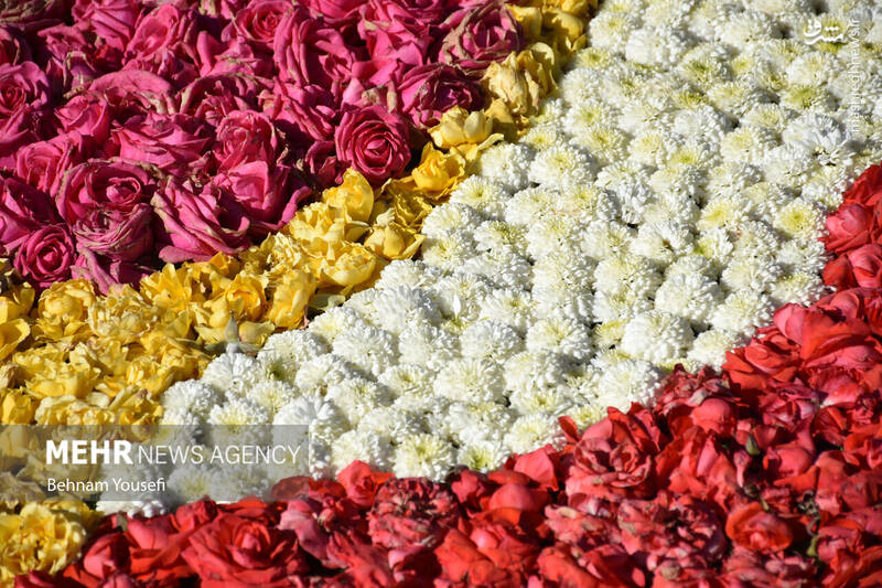 عکس/ بزرگترین فرش سرگل خاورمیانه