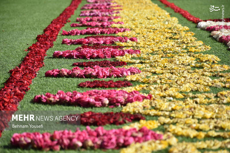 عکس/ بزرگترین فرش سرگل خاورمیانه