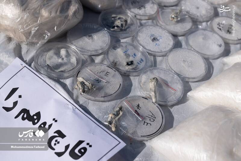 عکس/ کشفیات پلیس استان فارس از مجرمان