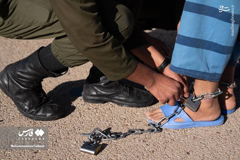 عکس/ کشفیات پلیس استان فارس از مجرمان