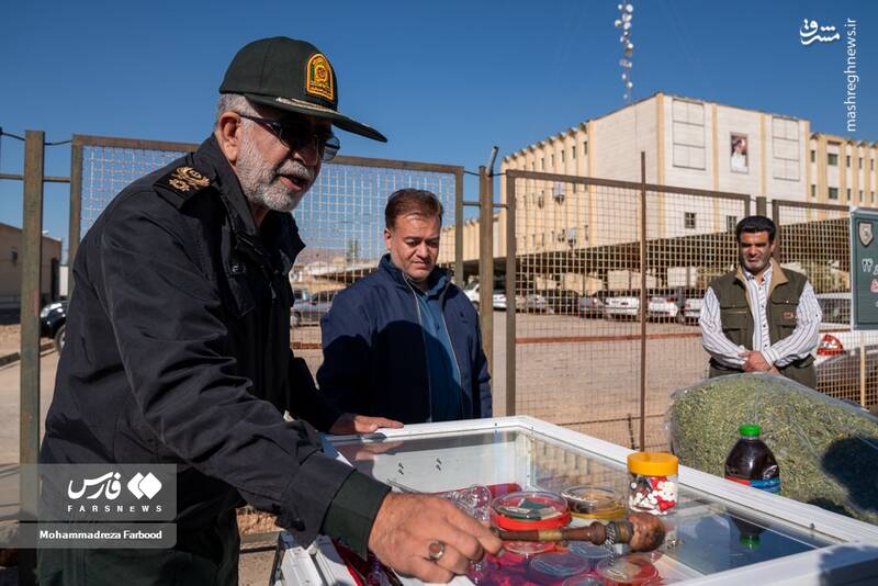 عکس/ کشفیات پلیس استان فارس از مجرمان