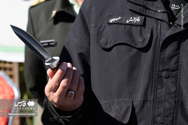 عکس/ کشفیات پلیس استان فارس از مجرمان