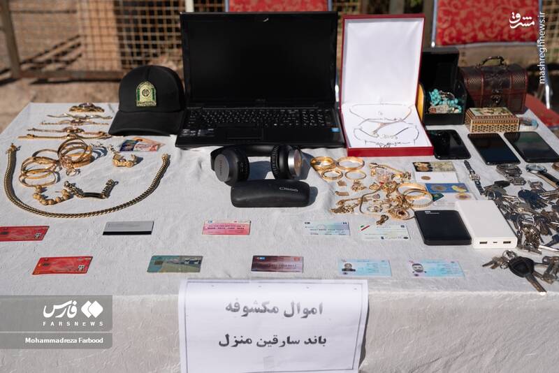 عکس/ کشفیات پلیس استان فارس از مجرمان