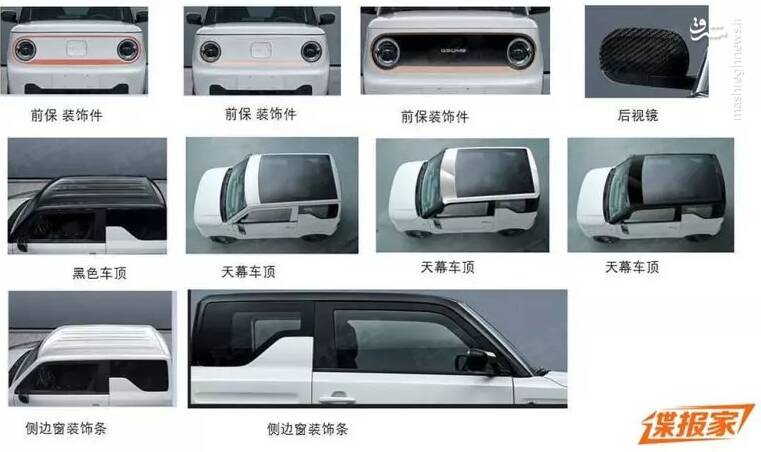 جیلی پاندا در حال تسخیر چین +عکس