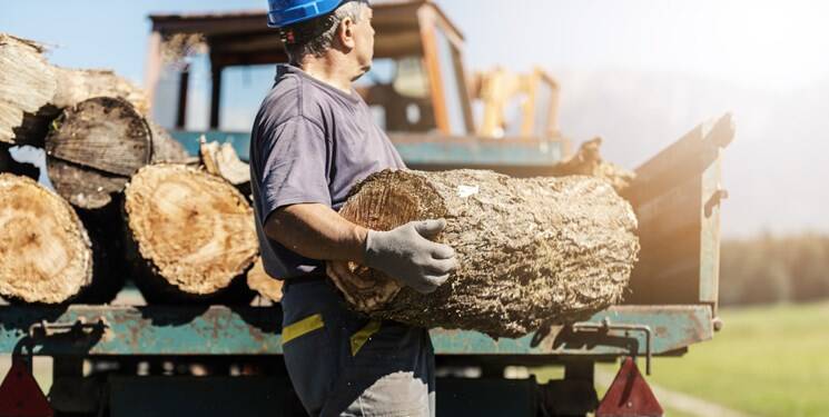 شرکتهای آلمانی لنگ چوب روسیه