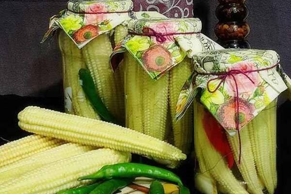 سفرههایی رنگین با معجون هایی که طعم زندگی میدهند!