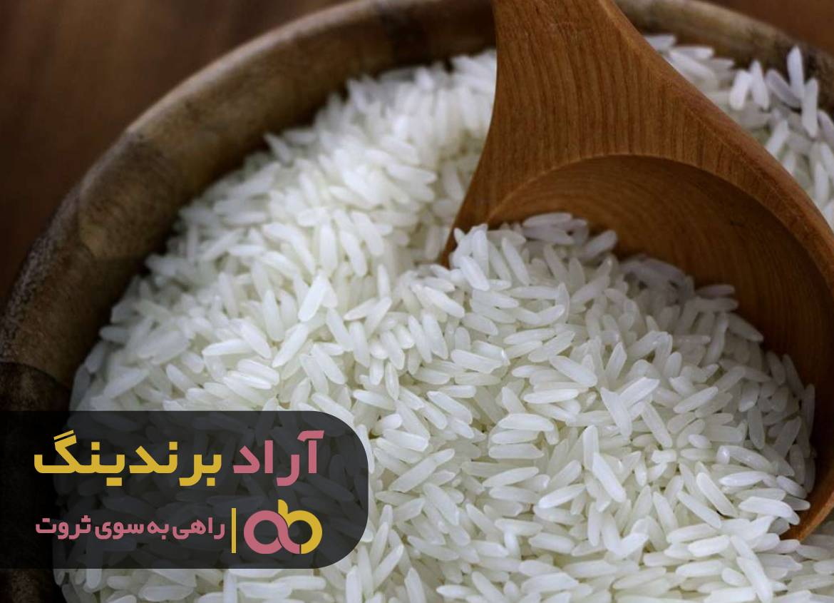 کافی است اراده کنید تا به پول برسید