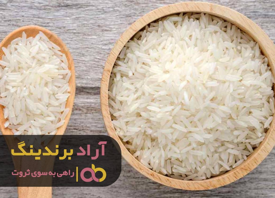 کافی است اراده کنید تا به پول برسید