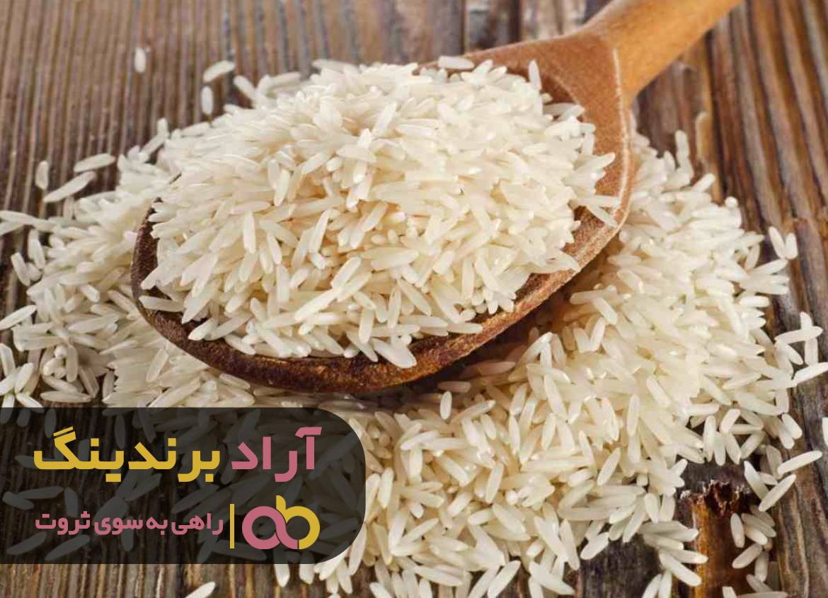 کافی است اراده کنید تا به پول برسید