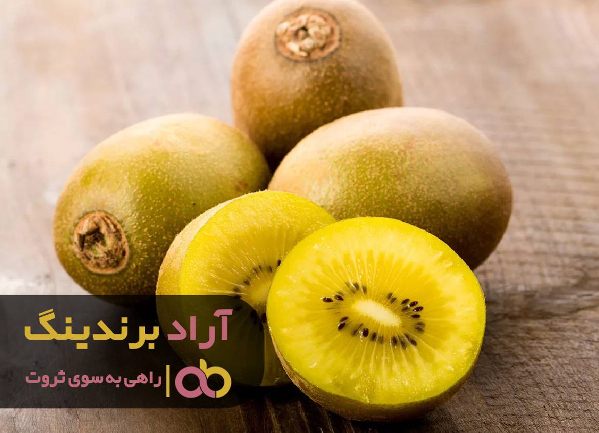 با میوه ی کیوی می توانید به ثروت برسید اگر آگاه باشید