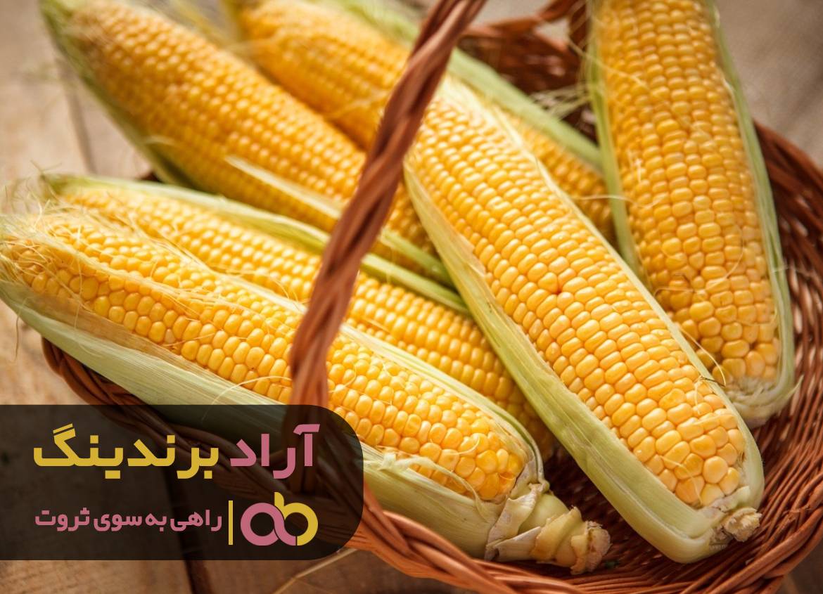 راهی که فقر را از من و نسل من ریشه کن کرد