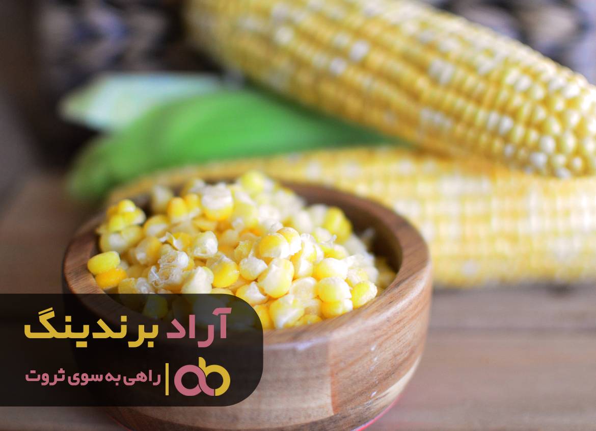 راهی که فقر را از من و نسل من ریشه کن کرد