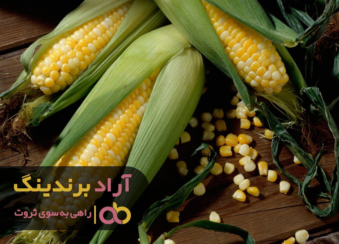 راهی که فقر را از من و نسل من ریشه کن کرد