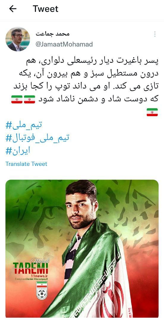 یکه تازی پسر باغیرت دیار رئیسعلی دلواری