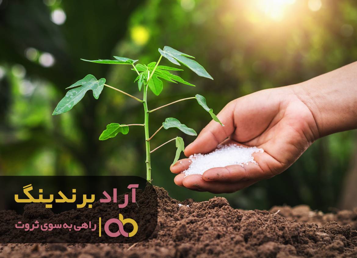 آسان ثروتمند شدن را با کود تجربه کردم