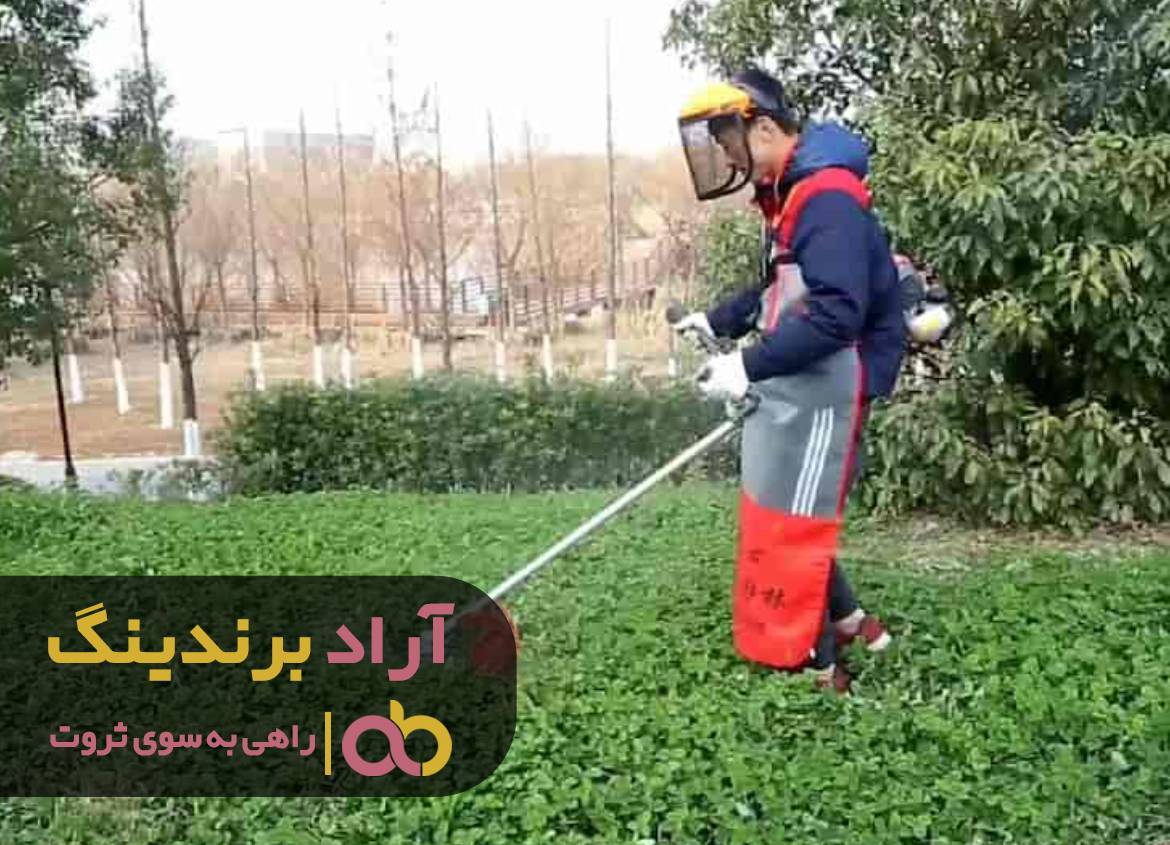 آسان ثروتمند شدن را با کود تجربه کردم