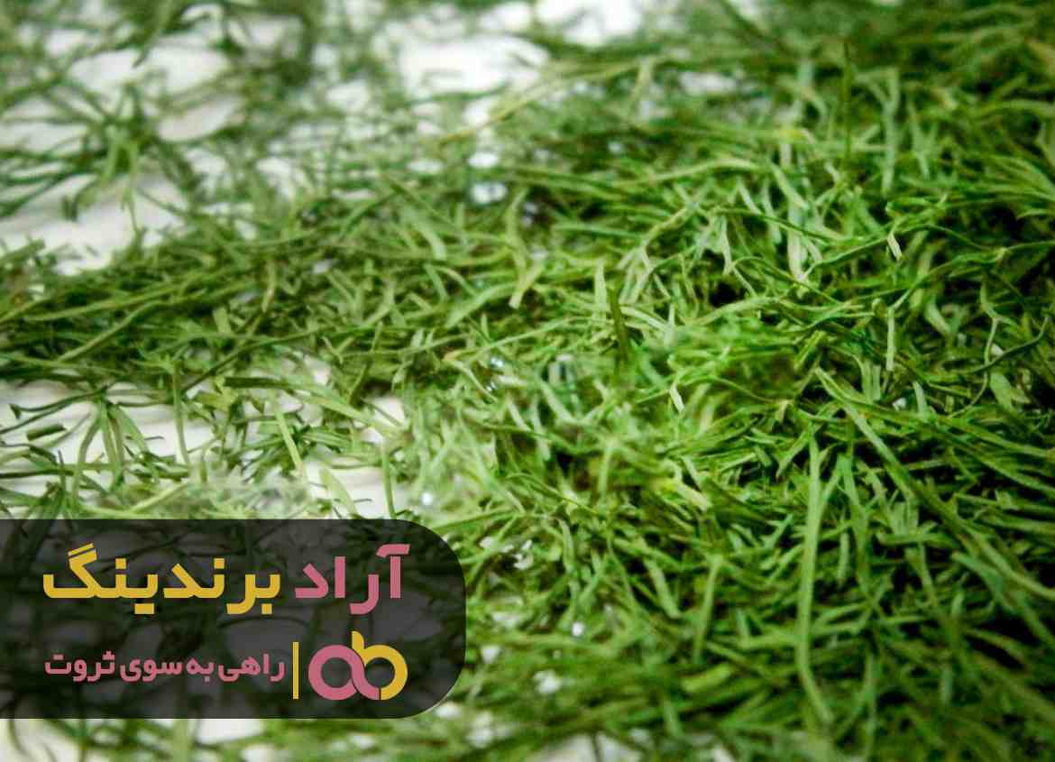 کلید طلایی برای میلیونر شدن