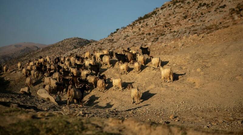 گزارش نیوریوک تایمز از تنشآفرینی تلآویو در مرزهای زمینی لبنان