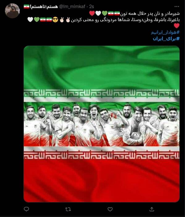 باغیرتا، باشرفا، وطندوستا، شماها مردونگی رو معنی کردین