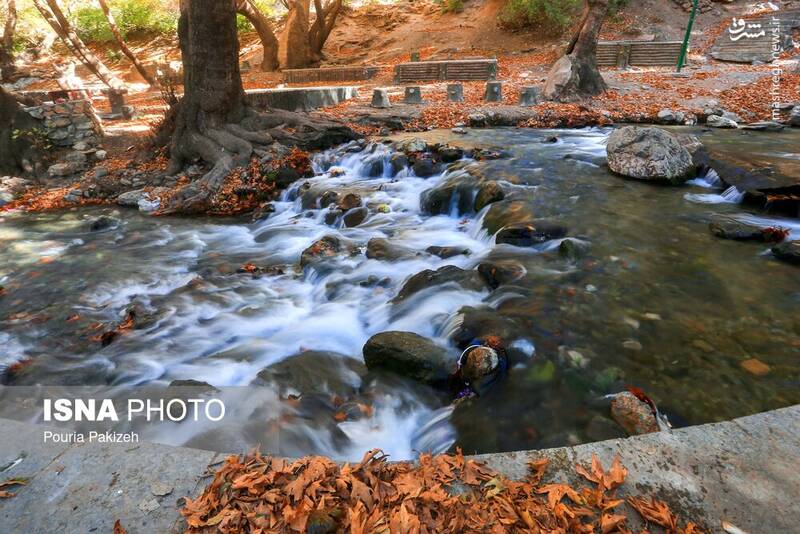 عکس/ طبیعت زیبای پاییز در نهاوند