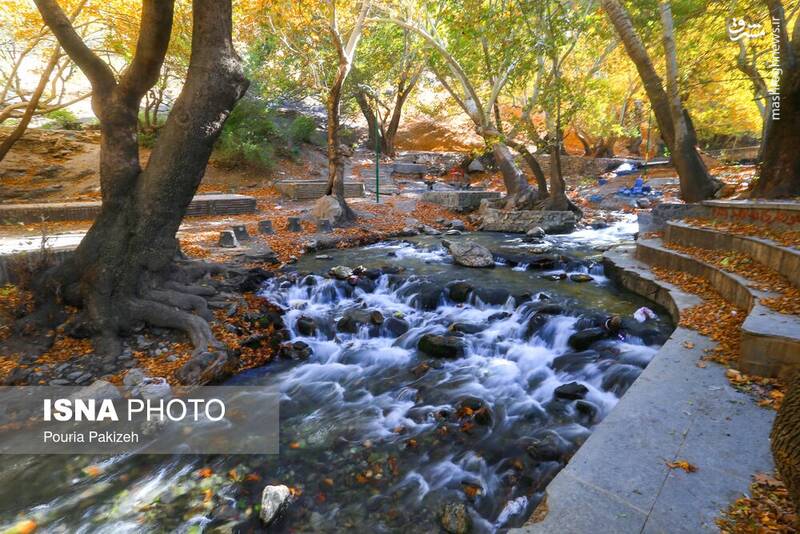 عکس/ طبیعت زیبای پاییز در نهاوند