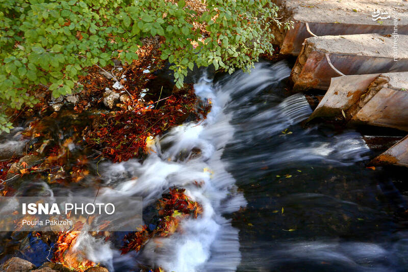 عکس/ طبیعت زیبای پاییز در نهاوند