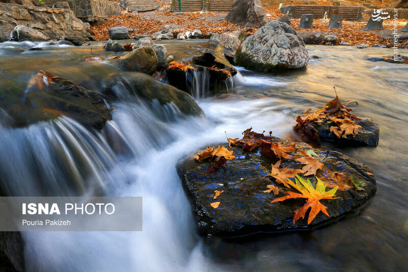عکس/ طبیعت زیبای پاییز در نهاوند