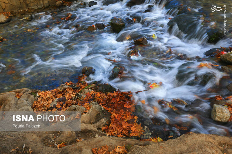 عکس/ طبیعت زیبای پاییز در نهاوند