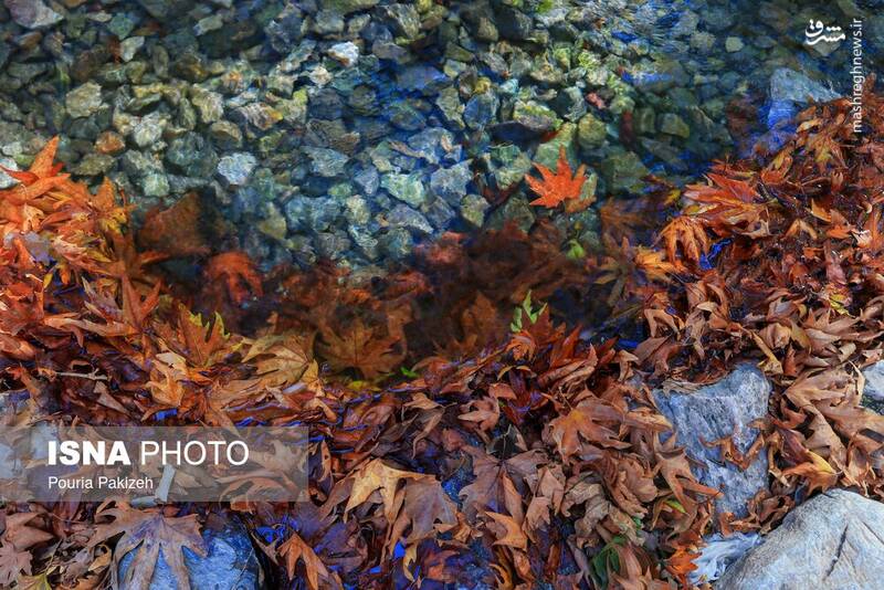 عکس/ طبیعت زیبای پاییز در نهاوند